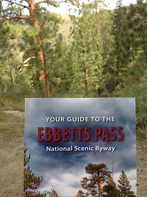 Ebbetts Pass
