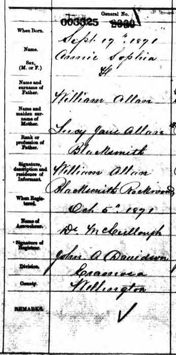 #52Ancestors: 2nd Great Grandmother Annie Sophia Allen Charged with Fraud and Deception in Divorce