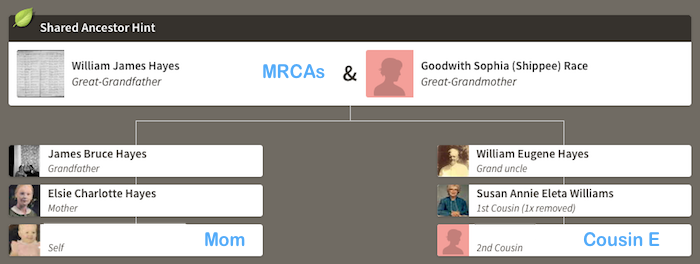 Mom and Cousin E - AncestryDNA Hint