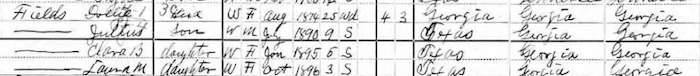 Fields Family 1900 US Census Texas