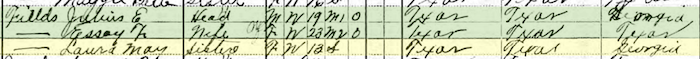 Fields Family 1910 US Census Texas