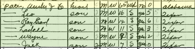 Andrew Jackson Pace Household, 1940 US Census